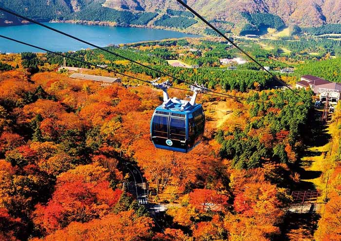 Hakone Cable Cars in Autumn