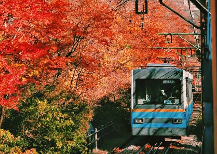 Hakone Tozan Train in autumn