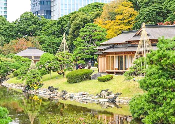  Hamarikyu Gardens