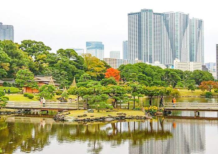  Hamarikyu Gardens