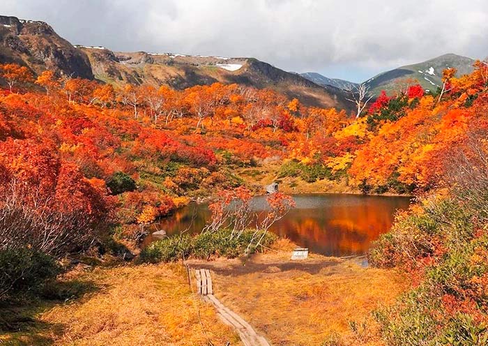 Hokkaido Fall Colors