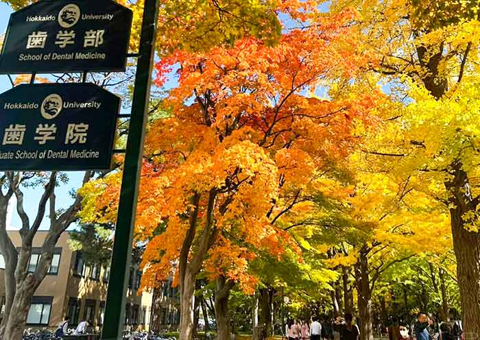 Hokkaido Fall Colors