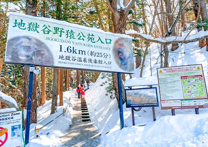 Jigokudani Monkey Park