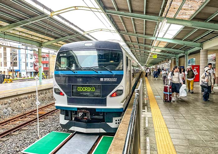 JR Odoriko from Tokyo to Izu