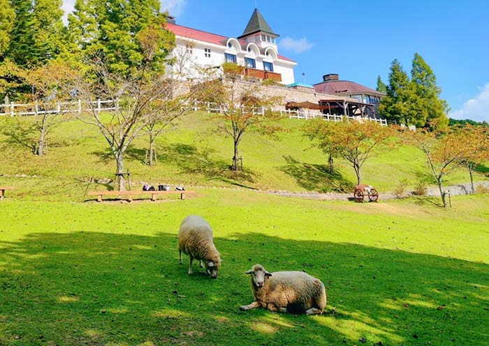 Rokkosan Pasture, Kobe