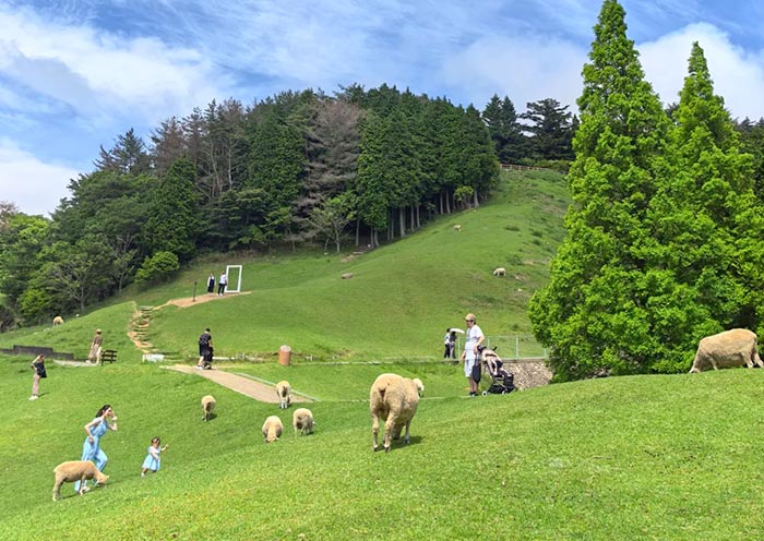Rokkosan Pasture, Kobe Rokkosan Pasture, Kobe