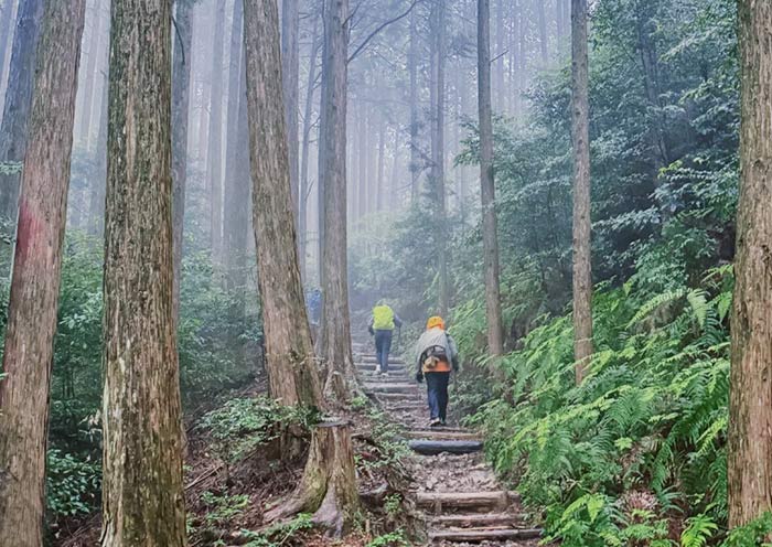 Kumano Kodo Pilgrimage Trail, World Heritage