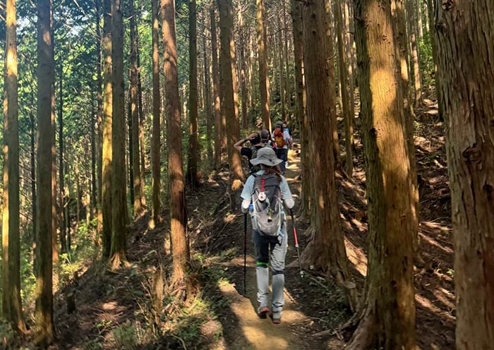 Kumano Kodo Pilgrimage Trail, World Heritage Kumano Kodo Pilgrimage Trail, World Heritage