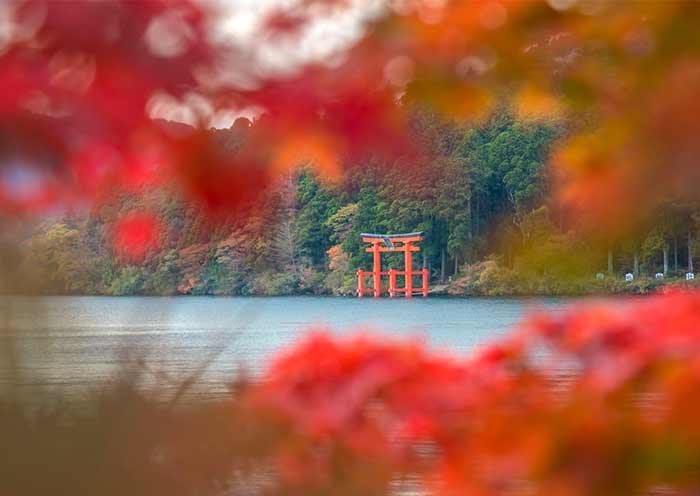 Lake Ashi in Autumn