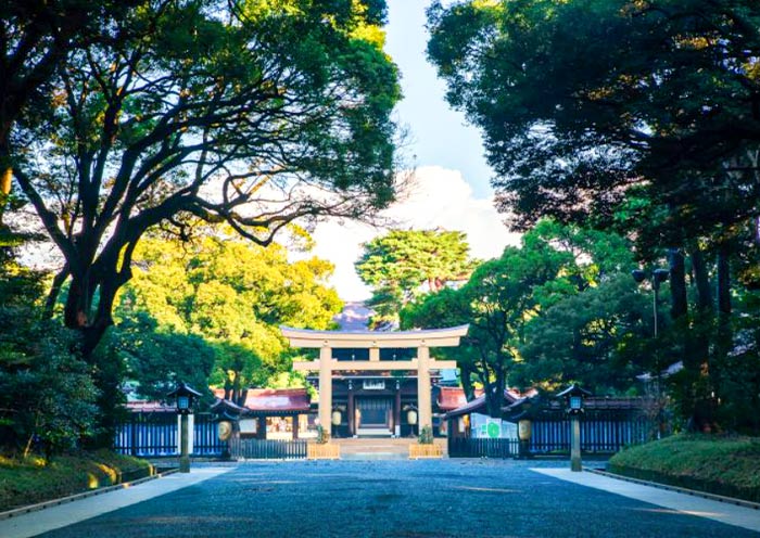 Meiji Jingu Shrine, Tokyo
