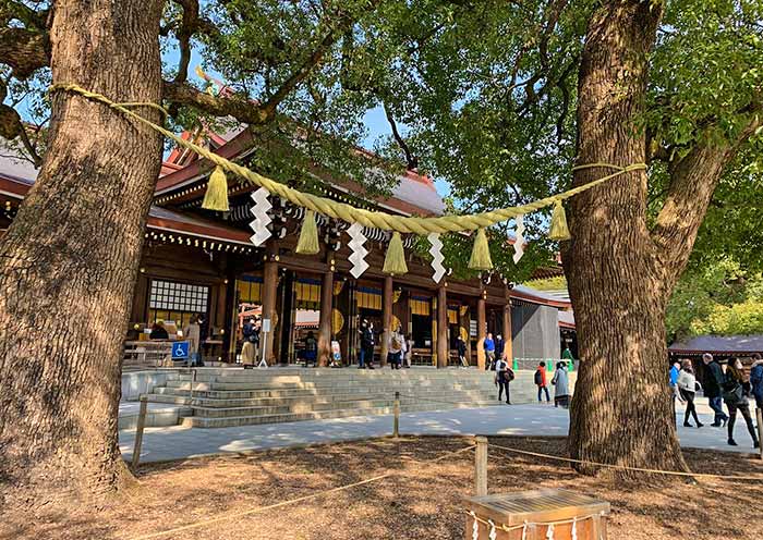 Divine Trees, Meijin Shrine