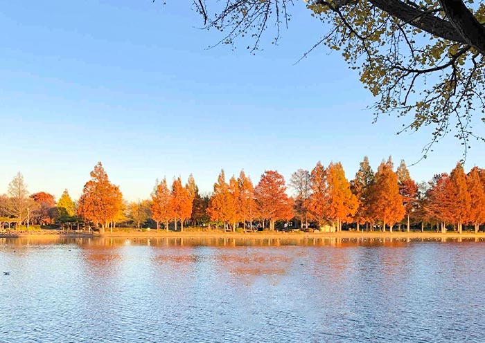 Mizumoto Park Fall
