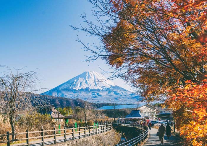 Mount fuji in autumn Mount fuji in autumn