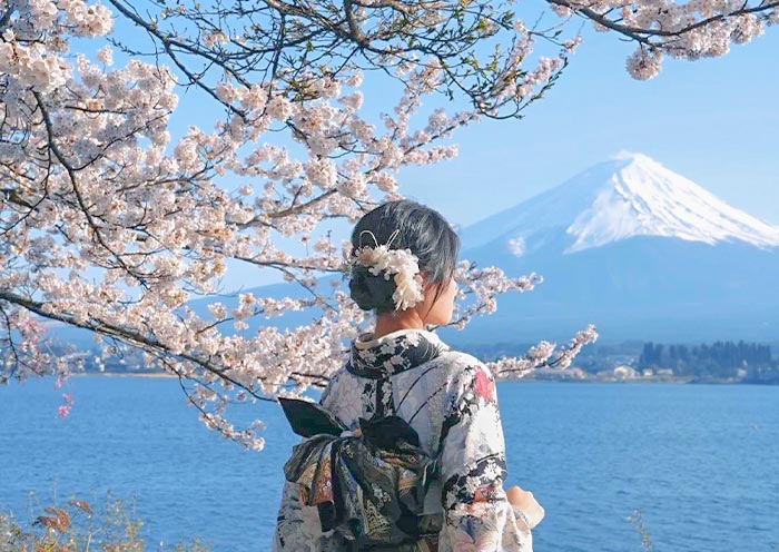 Lake Kawaguchiko and Mount Fuji Cherry Blossom