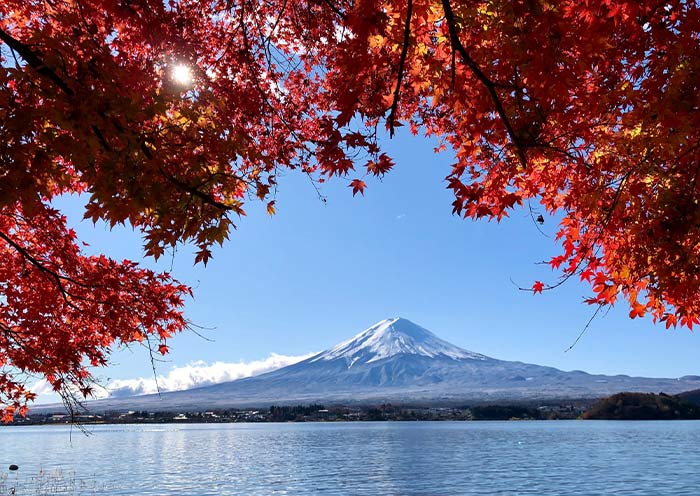 Autumn Mount fuji in Kawaguchigo Autumn Mount fuji in Kawaguchigo