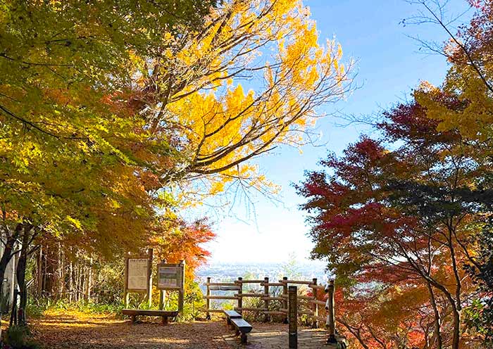 Mt Takao Fall