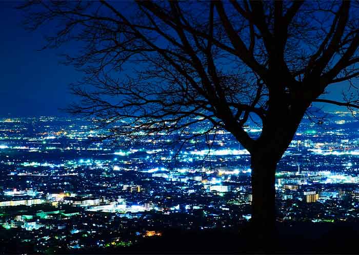 Mt. Wakakusa, Nara