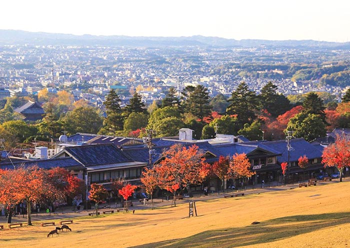 Mt. Wakakusa, Nara