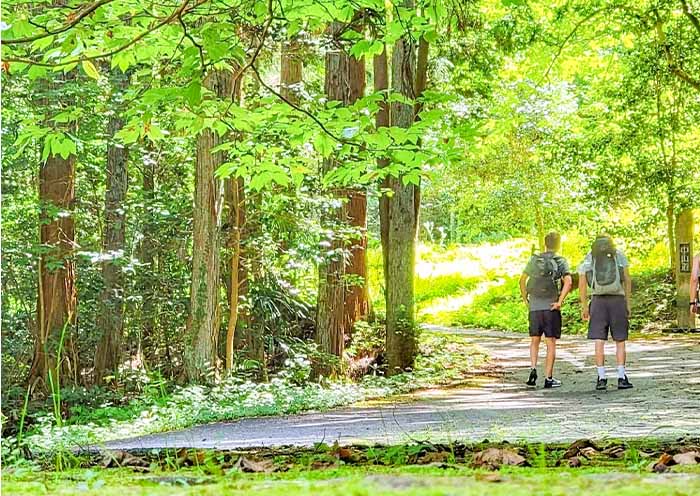 Japan Hiking Tours 