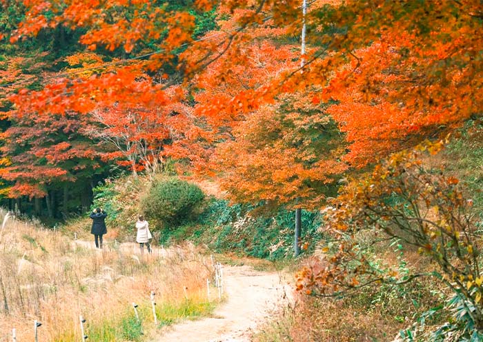 Nakasendo