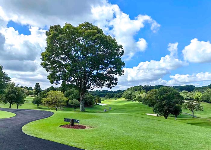 Narita Golf Club, Chiba
