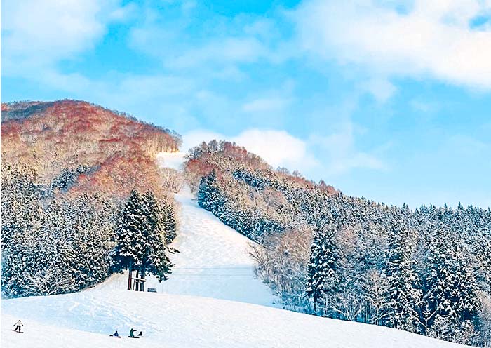 Nozawa Onsen Ski Resort