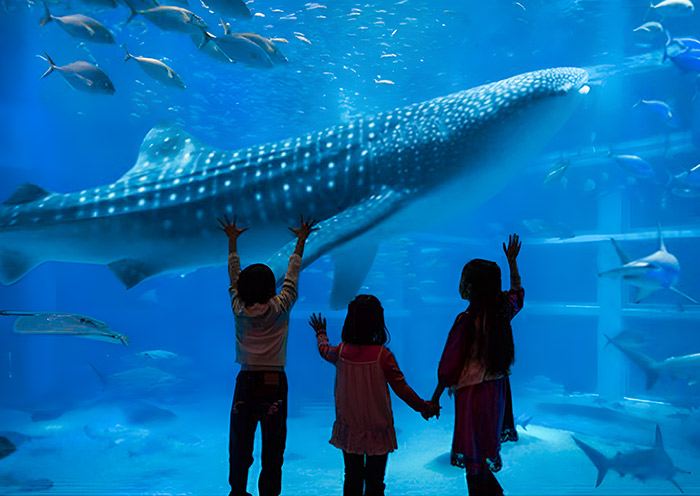 Osaka Aquarium
