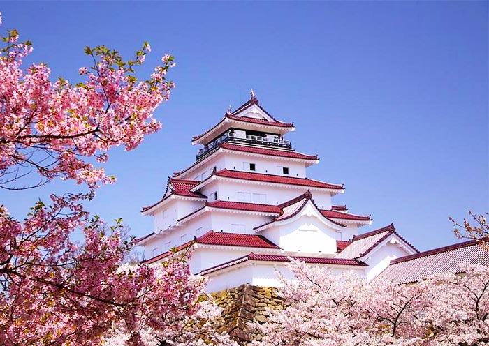 Osaka Castle Osaka Castle in Cherry Blossom Season