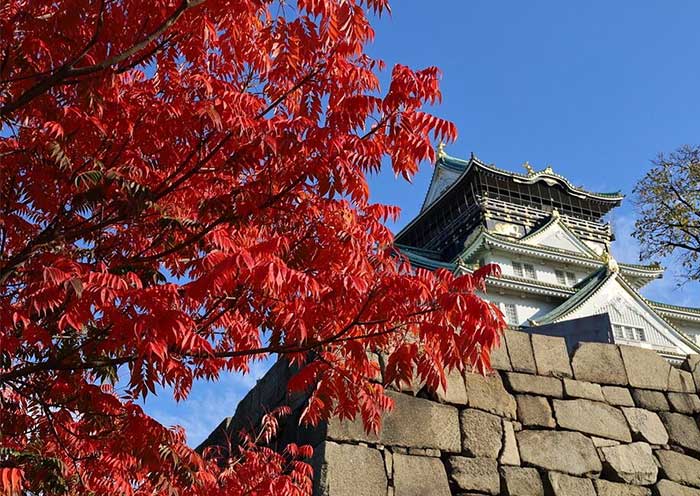 Osaka Castle Autumn Leaves Spectacle, Osaka Castle