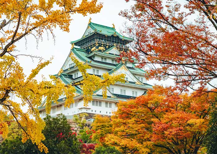 Osaka Castle Park in the Autumn