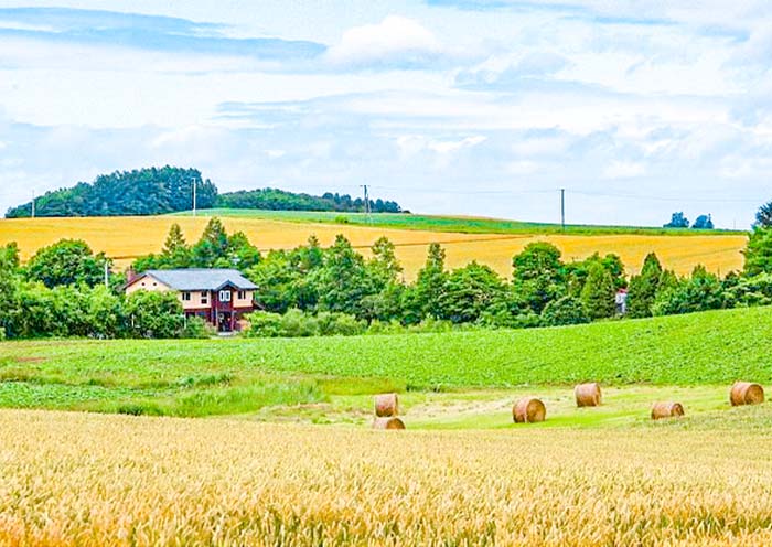  Patchwork Road, Biei 