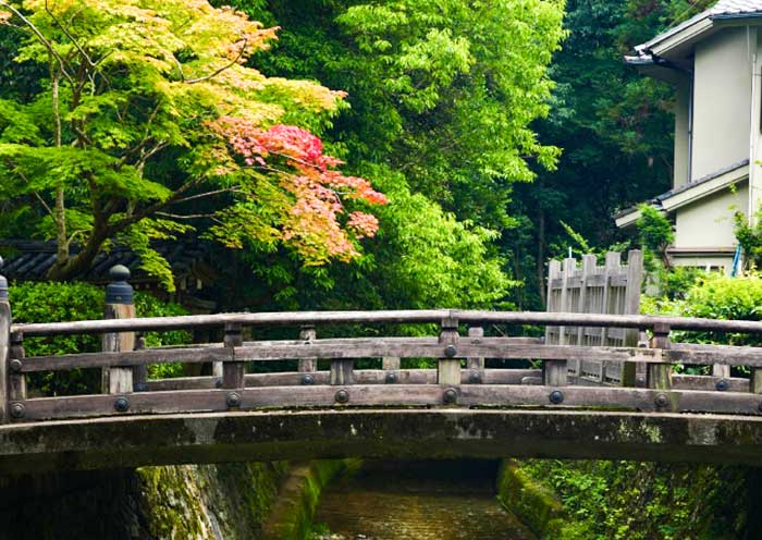 Enjoy Saihoji Temple's Tranquil Zen Atmosphere
