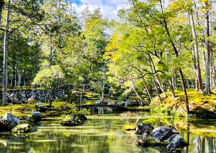 The beautiful garden of Saihoji Temple, Kyoto