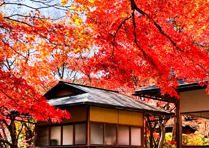 Saihoji Temple, a UNESCO-Site of Kyoto