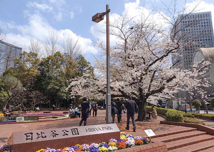 View Sakura in Hibiya Park