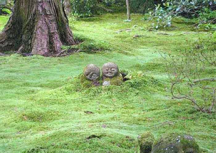 Sanzenin Temple, Kyoto