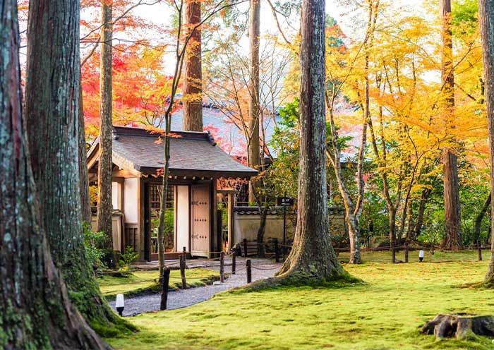 Sanzenin Temple, Kyoto