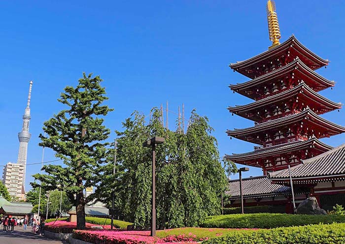 Tokyo Skytree & Five-story Pagoda