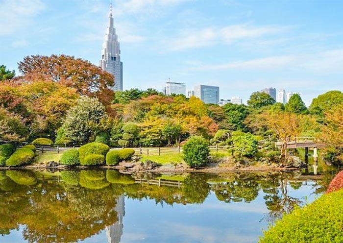 Shinjuku Gyoen National Garden
