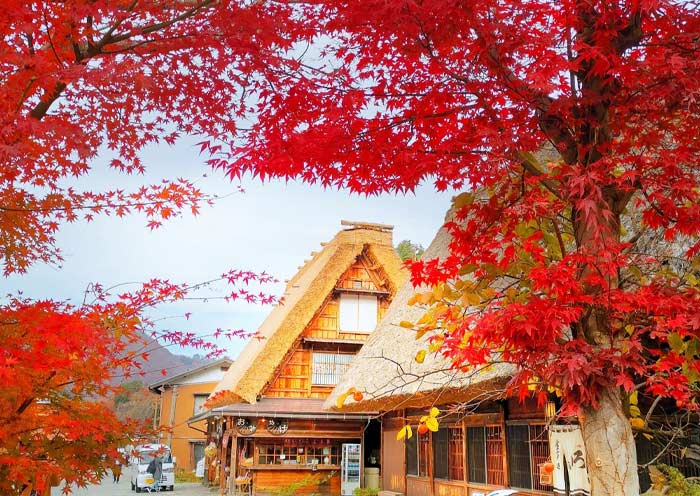 Shirakawa-go Gassho Zukuri Houses