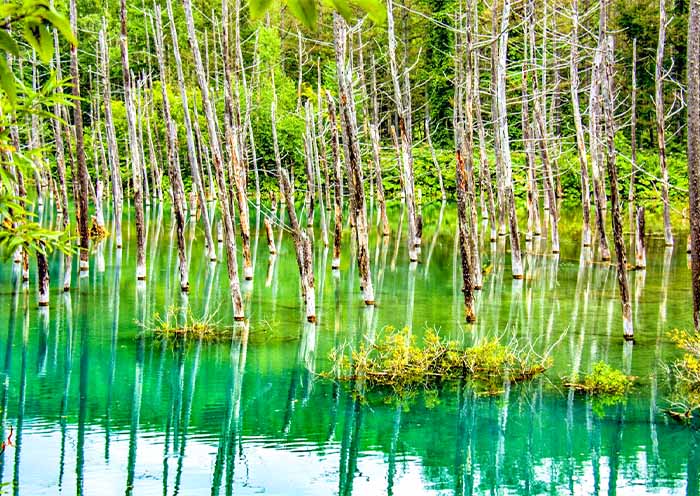 Shirogane Blue Pond, Biei
