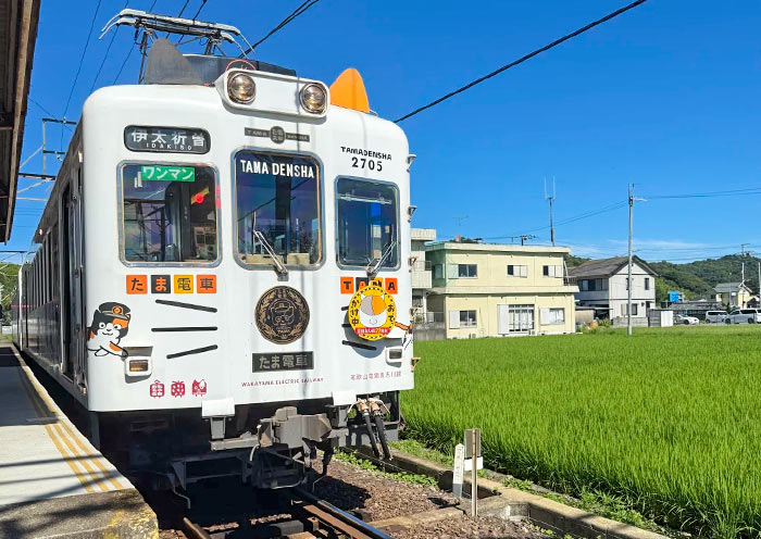 Tama Train for Cat Station Master, Wakayama