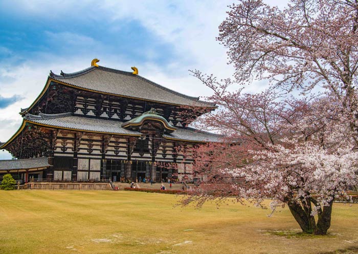 Nara Tōdai-ji Temple in Spring Nara Tōdai-ji Temple in Spring