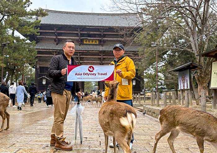 Todaiji Temple, Nara