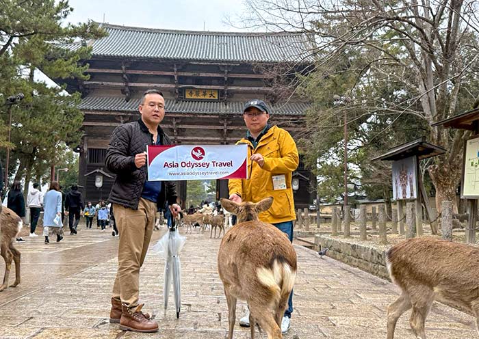 Todaiji Temple, Nara