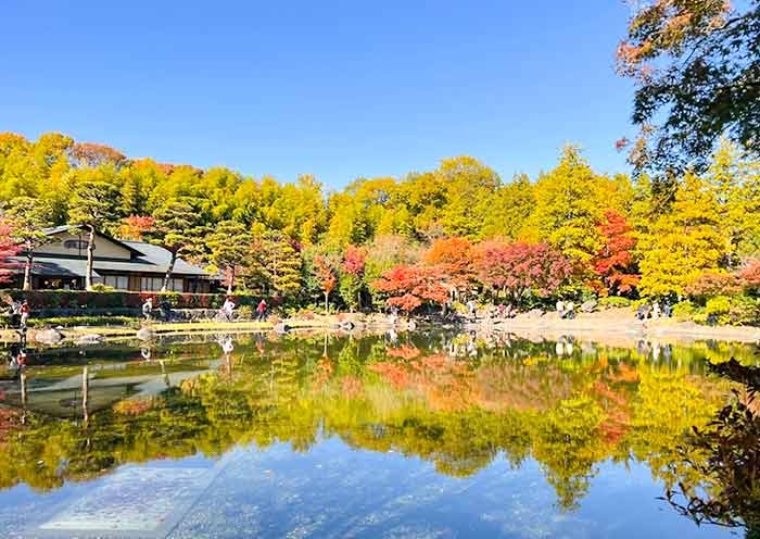 Tokyo Fall Colors