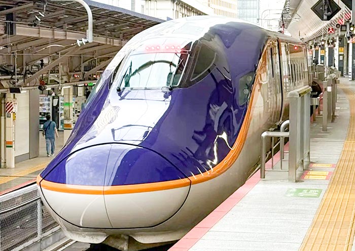 Tokyo to Nagano Shinkansen