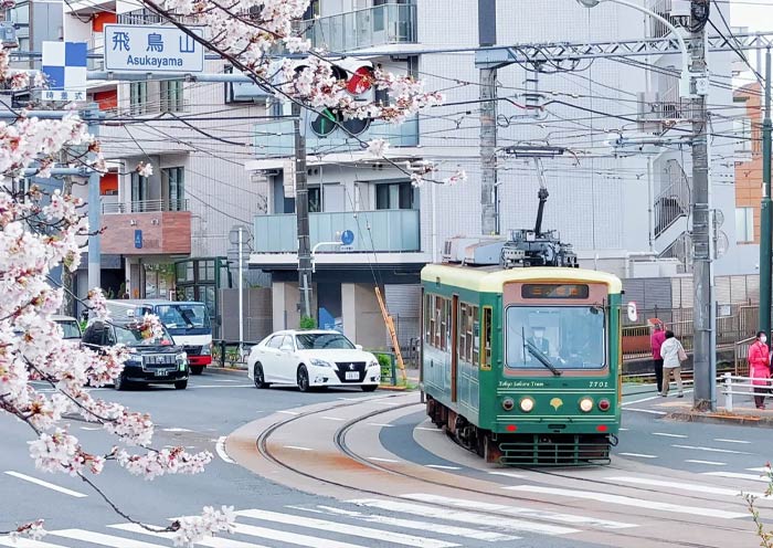 Tokyo Sakura Tram in Spring