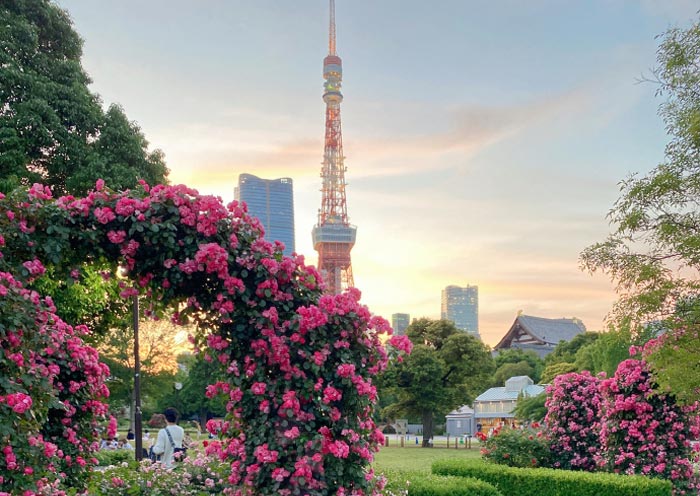 Tokyo Tower at sunset