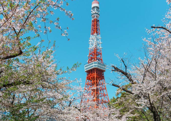 Tokyo Tower in Spring